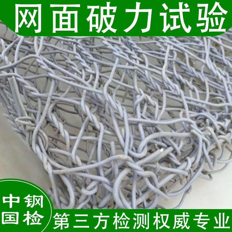 廣西中鐵十局柔性防護(hù)網(wǎng)檢測(cè)成功案例