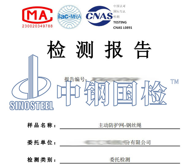 防護網(wǎng)檢測報告