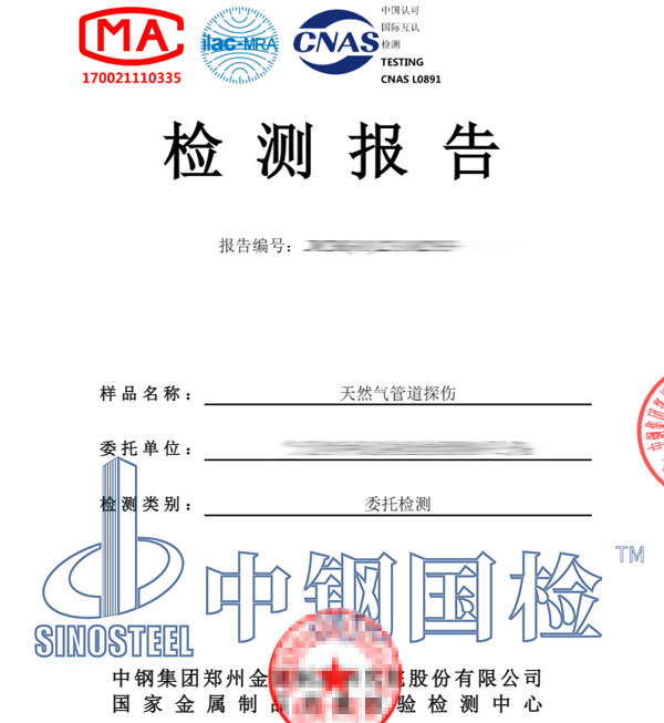 管網(wǎng)檢測報告