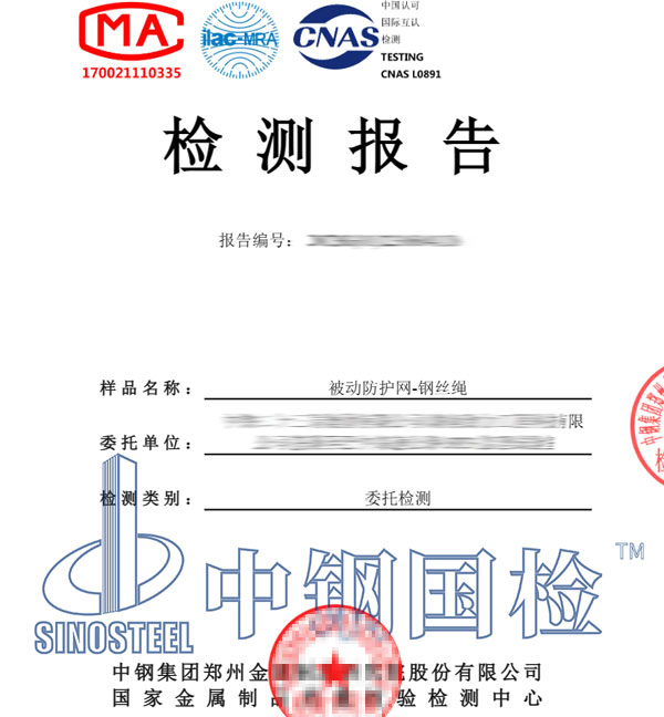 被動(dòng)防護(hù)網(wǎng)檢測(cè)報(bào)告