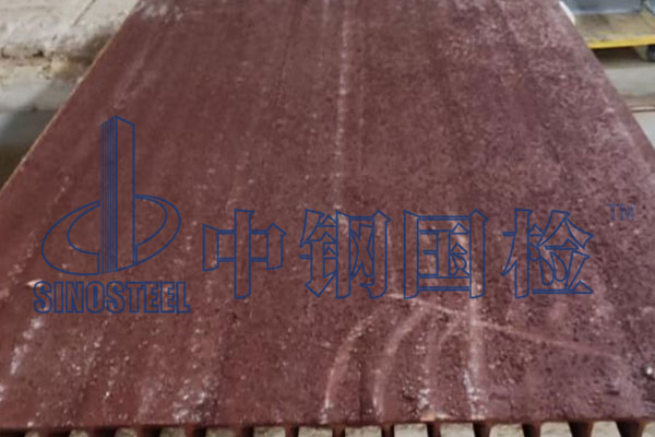 疏散平臺(tái)檢測(cè)