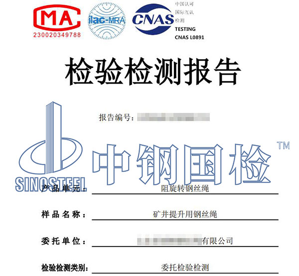 鋼絲繩檢測報告